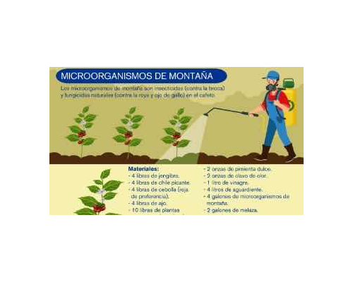 Elaboración y uso de microorganismos de montaña