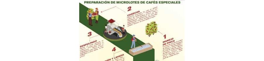 Preparación de microlotes de cafés especiales