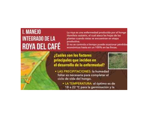 Proyecto Progresa manejo integrado de la roya del café